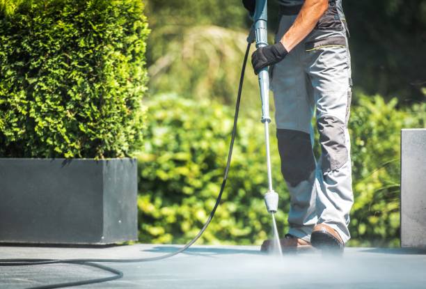 Best Sidewalk and Walkway Cleaning  in Springville, AL