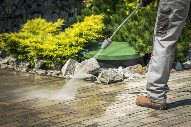 Best Winterizing Services  in Springville, AL