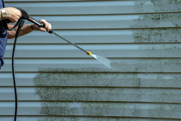 Best Dumpster Area Cleaning  in Springville, AL